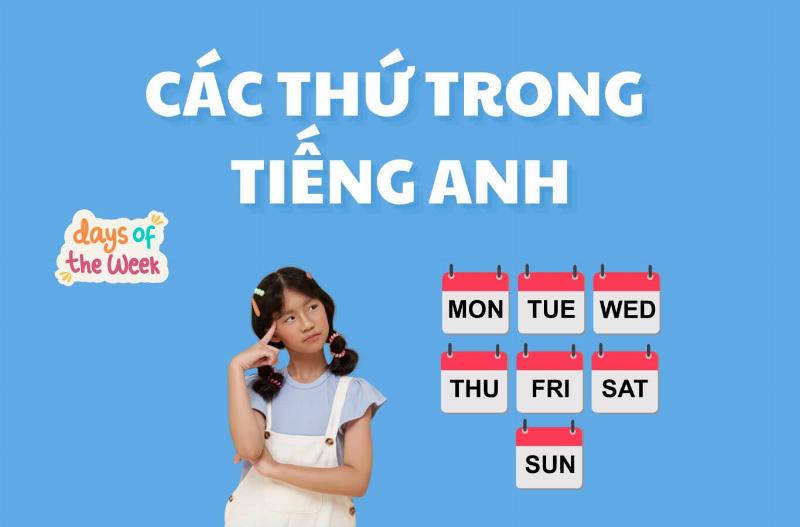 Minh họa cách sử dụng ngày Wednesday trên lịch hoặc kế hoạch hàng tuần